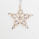 Star - Earrings Ara - 2